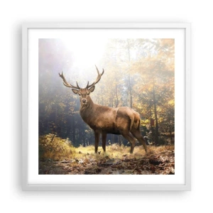 Poster in einem weißen Rahmen - In voller Majestät - 50x50 cm