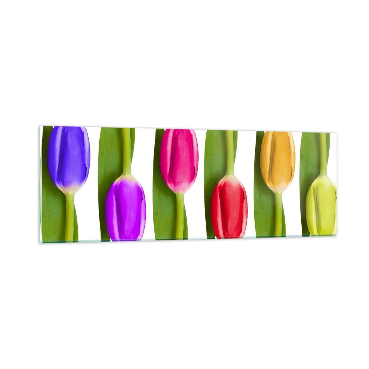 Glasbild - Bild auf glas - Regenbogenkomposition - 90x30 cm