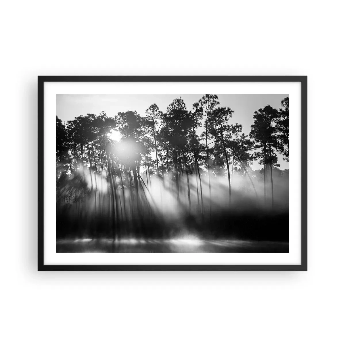Poster in einem schwarzem Rahmen - Schwarz-weißer Wald im Morgennebel - 70x50cm - Unaufhaltsame Sonne - Moderne Wanddekoration für Wohnzimmer und Schlafzimmer ARTTOR