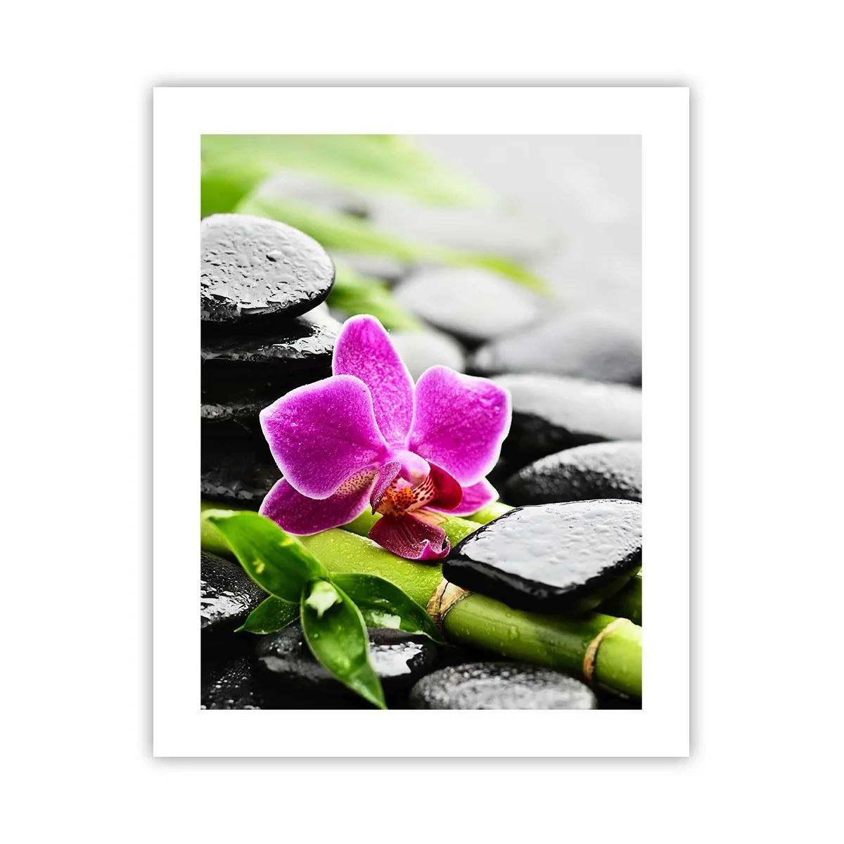Poster - In ruhiger Balance - 40x50 cm