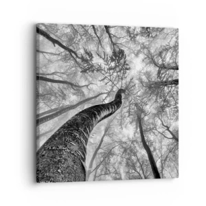 Bild auf Leinwand - Leinwandbild - Rennen zum Licht - 30x30 cm