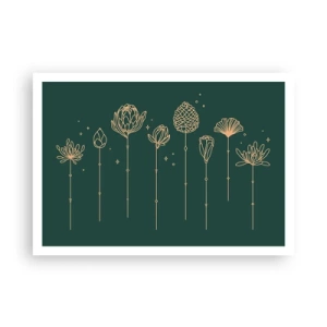 Poster - Goldene Zeichnungen von Kräutern auf dunkelgrünem Hintergrund - 100x70cm - Familie ZIÓŁkowski - Moderne Wanddekoration für Wohnzimmer und Schlafzimmer ARTTOR