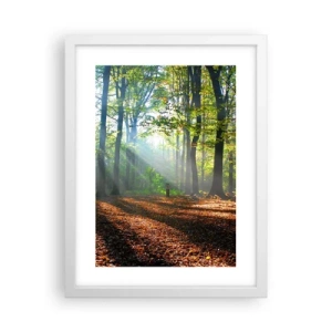 Poster in einem weißen Rahmen - Licht und Schatten - 30x40 cm