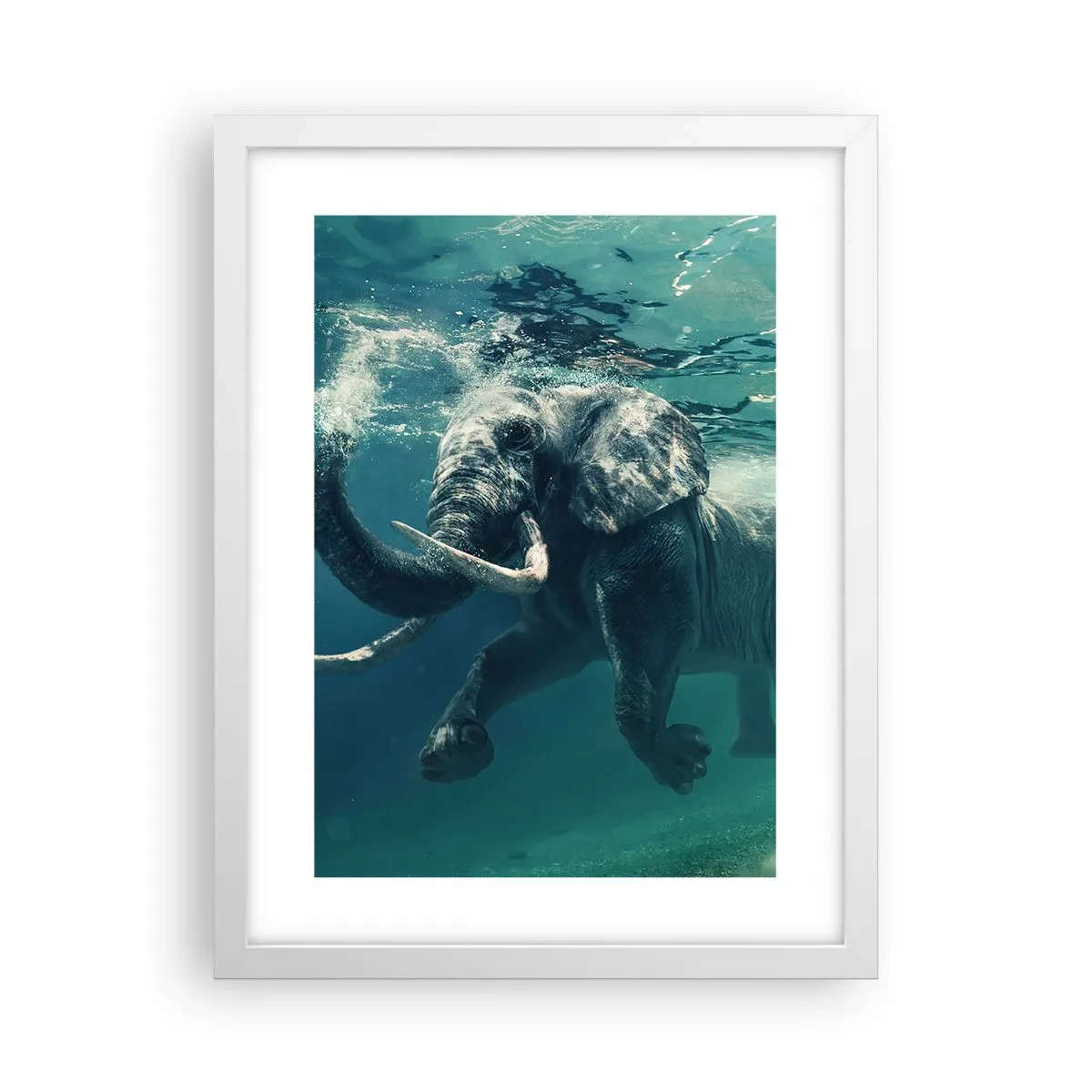 Poster in einem weißen Rahmen - Jeder schwimmt gerne - 30x40 cm