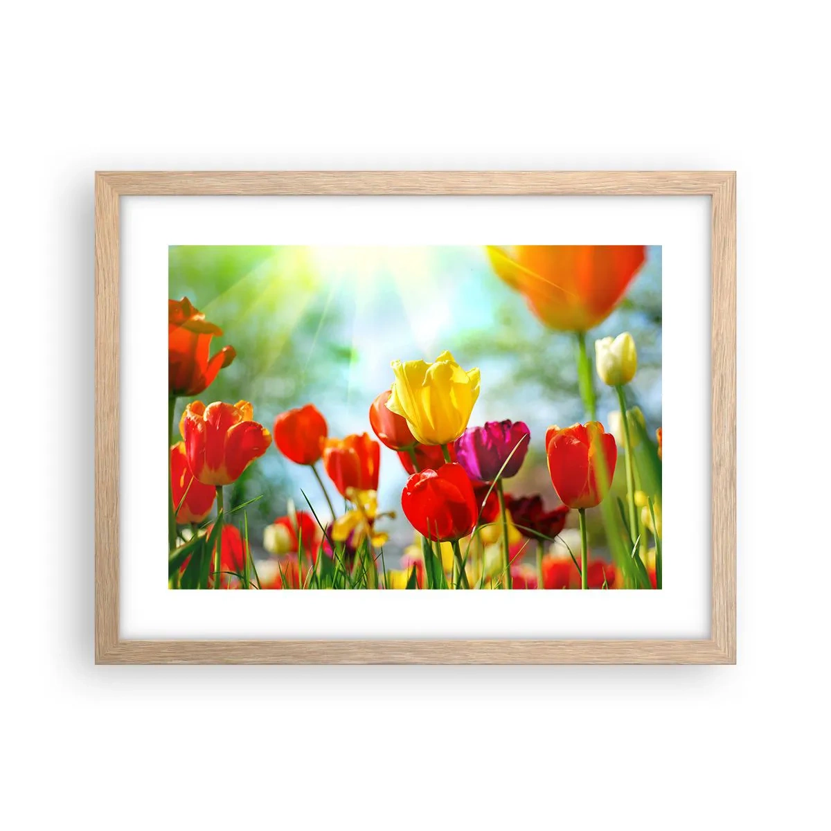 Poster in einem Rahmen aus heller Eiche - Alle Farben der Sonne - 40x30 cm