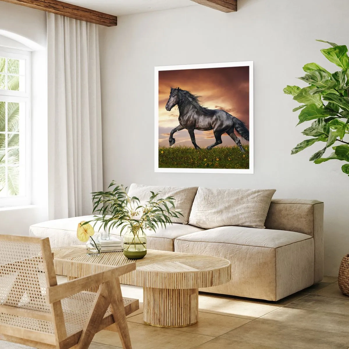 Poster - Schwarzer Prinz - 50x50 cm