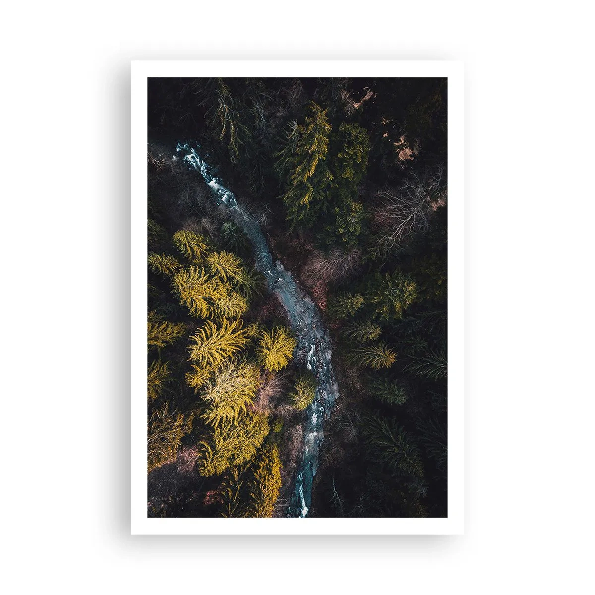 Poster - Schnell und immer schneller - 70x100 cm