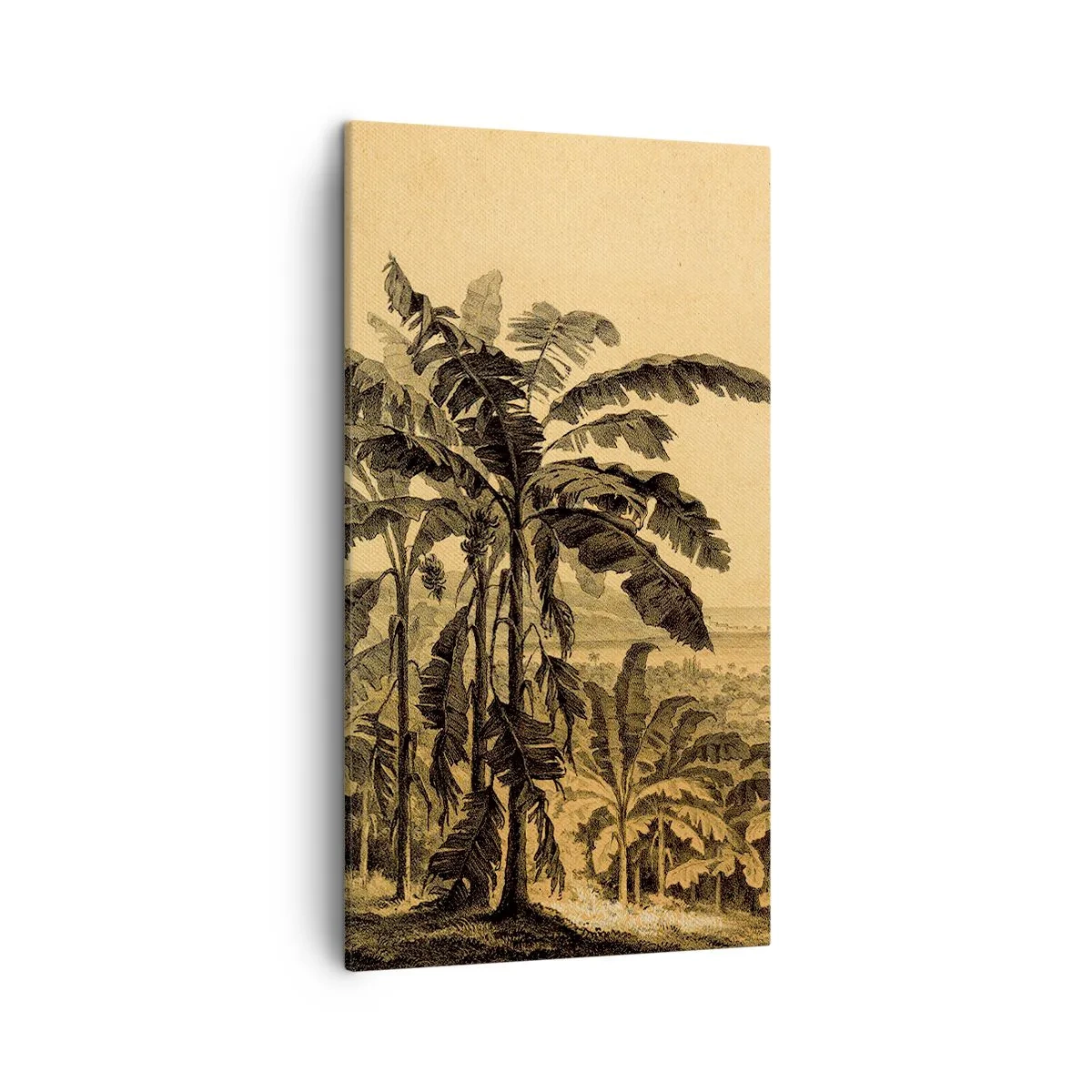 Bild auf Leinwand - Leinwandbild - in einem kolonialen Klima - 45x80 cm