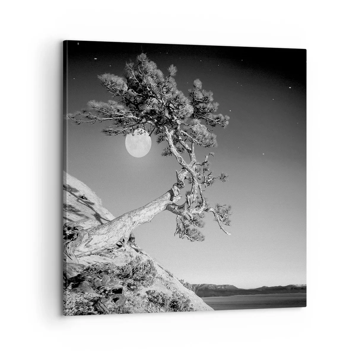 Bild auf Leinwand - Leinwandbild - Siegreiche Kämpferin - 60x60 cm