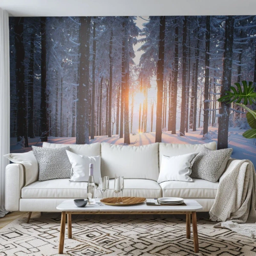 Selbstklebende Fototapete Deluxe Sticker - Ganz klar schwarz auf weiß - Landschaft, Wald, Schnee - 200x140 cm