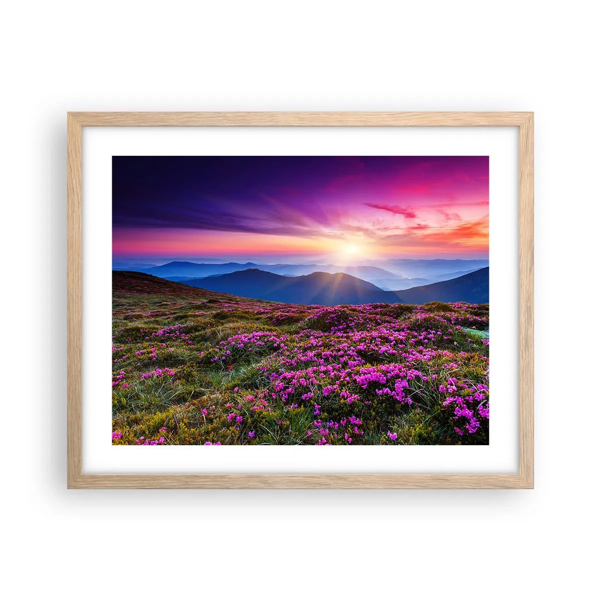 Poster in einem Rahmen aus heller Eiche - Kräuter dufteten nach frischen Trauben von den Feldern - 50x40 cm