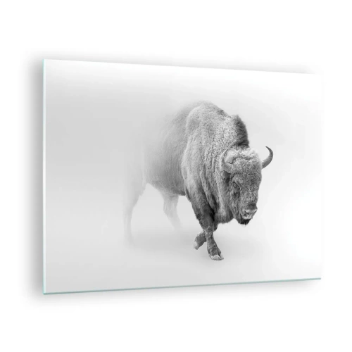 Glasbild - Bild auf glas - Schwarz-Weiß-Illustration eines majestätischen Bisons - 70x50cm - König der Prärie - Moderne Wanddekoration für Wohnzimmer und Schlafzimmer ARTTOR