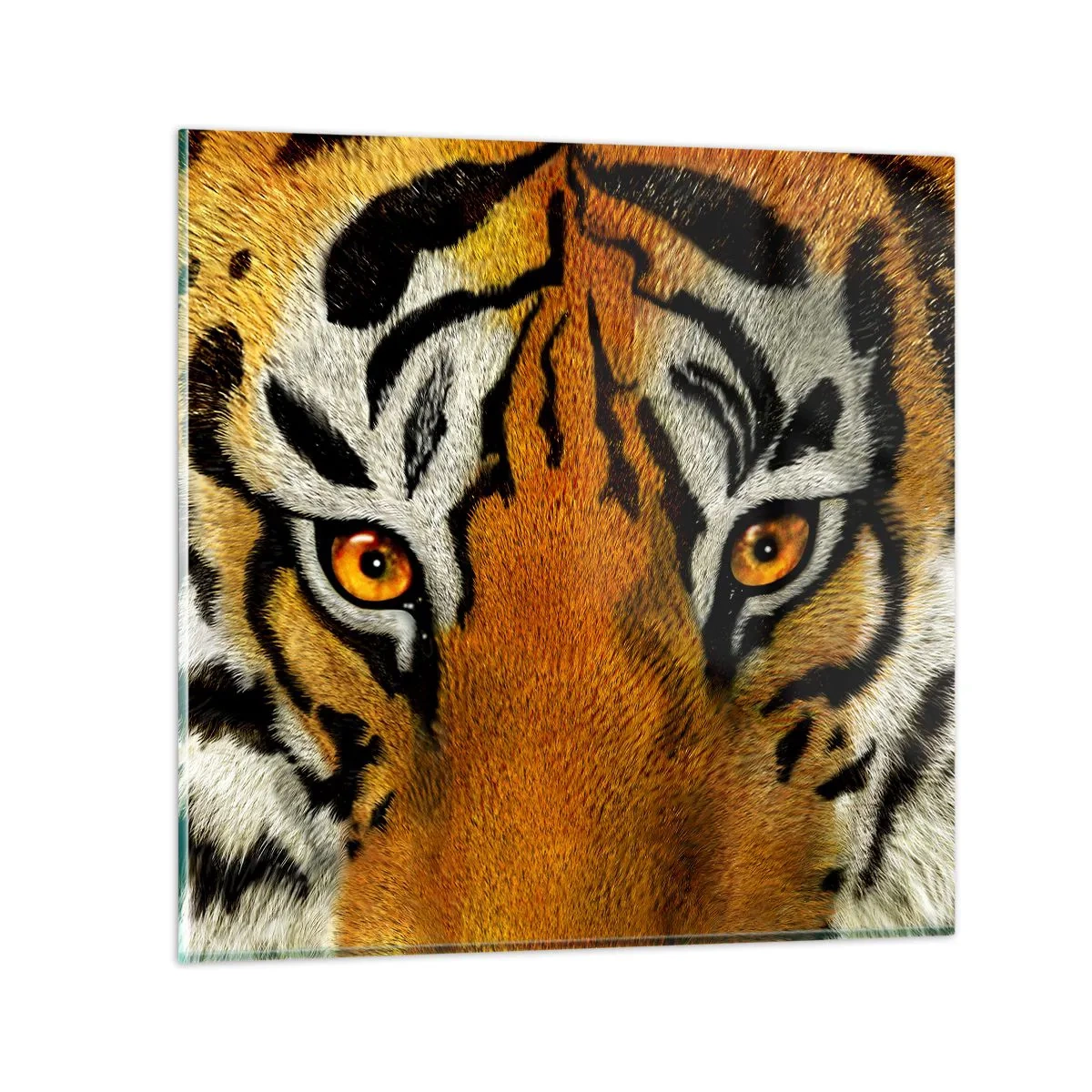 Glasbild - Bild auf glas - Schrecklich und schön - 50x50 cm