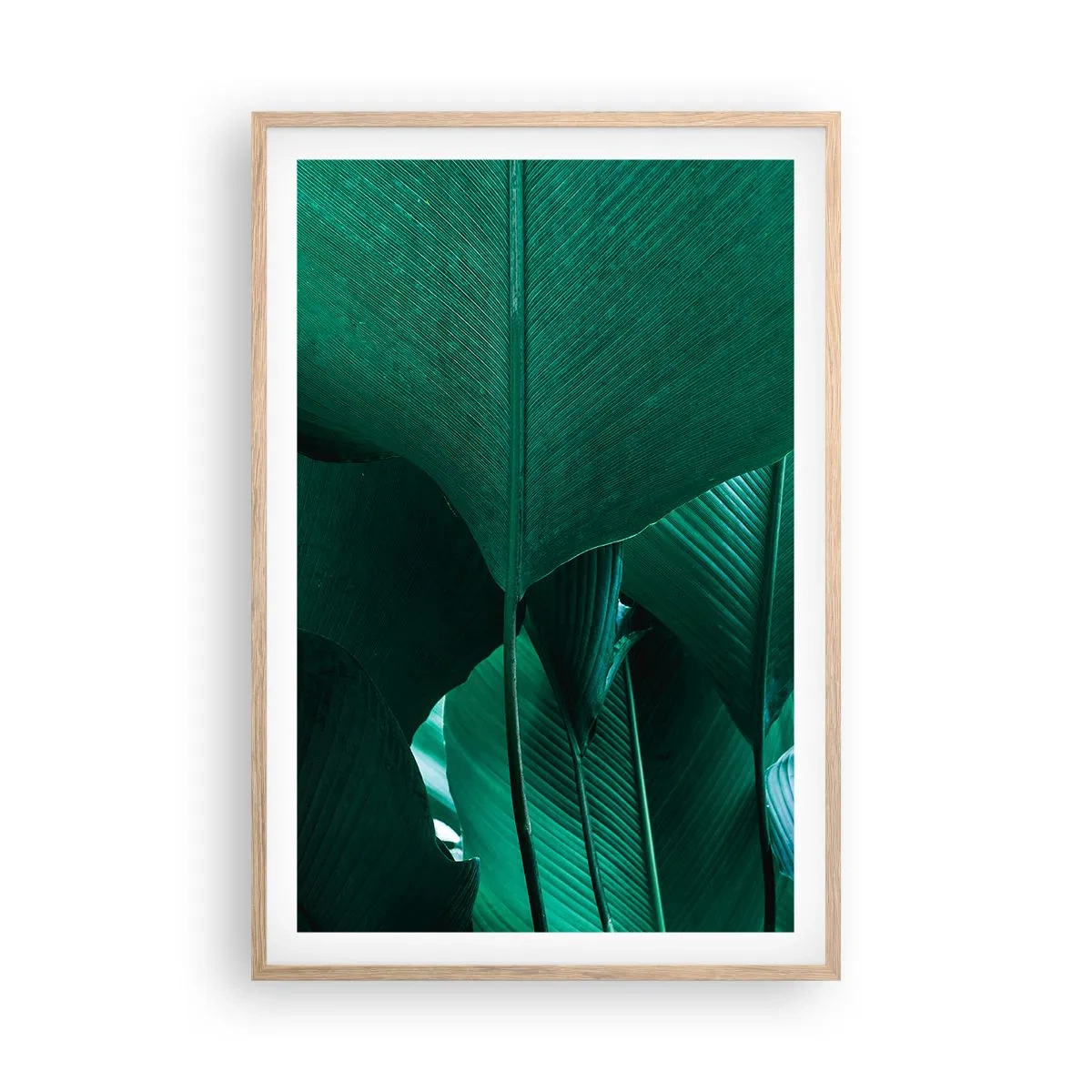 Poster in einem Rahmen aus heller Eiche - Dem Licht zugewandt - 61x91 cm