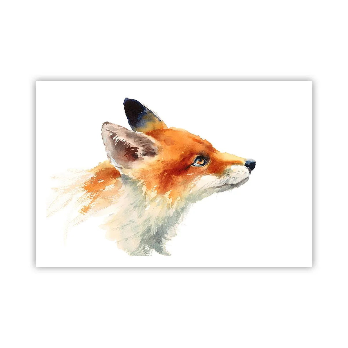 Poster - Man kann nie vorsichtig genug sein - 91x61 cm