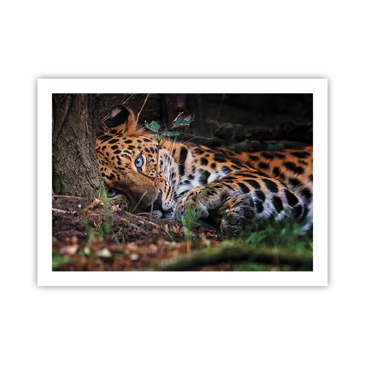 Poster - Vertrau mir - 70x50 cm