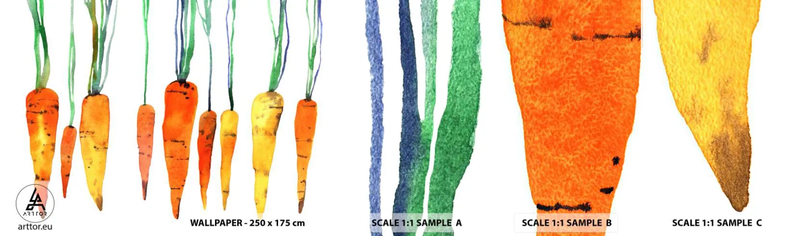 Fototapetenmuster Standard Eco - Die Schönheit des Gewöhnlichen - Gastronomie, Karotte, Grafik - 100x30 cm