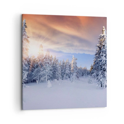 Bild auf Leinwand - Leinwandbild - Ein verschneites Naturschauspiel - 50x50 cm