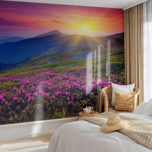 Fototapete Premium Canvas - … Und drumherum duftet es nach Latschenkiefer und dem Duft von Kräutern - Landschaft, Berge, Sonnenuntergang - 500x350 cm
