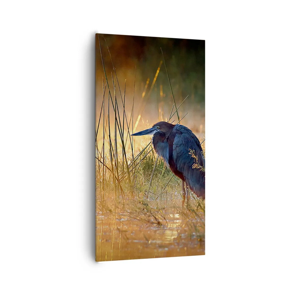 Bild auf Leinwand - Leinwandbild - Komm, gib mir eine Pause mit diesen Fotos - 65x120 cm