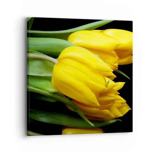 Bild auf Leinwand - Leinwandbild - Aus klarer Sonne entstanden - 30x30 cm