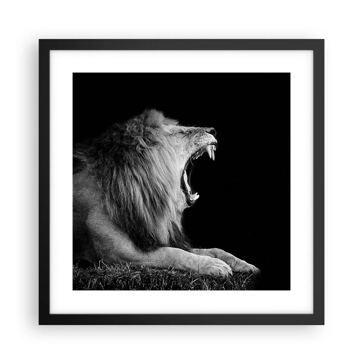 Poster in einem schwarzem Rahmen - Ohne Zweifel - 40x40 cm