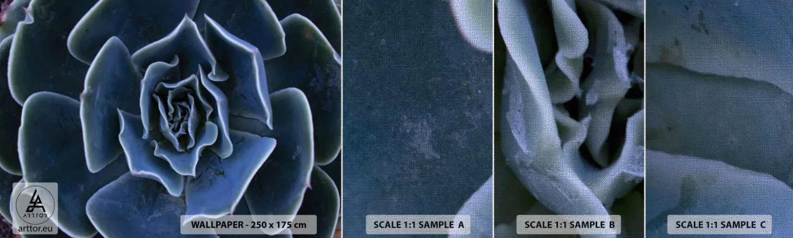 Fototapeten Muster Premium Canvas - Wüstenblume - Agavenblüte, Blume, Natur - 100x30 cm