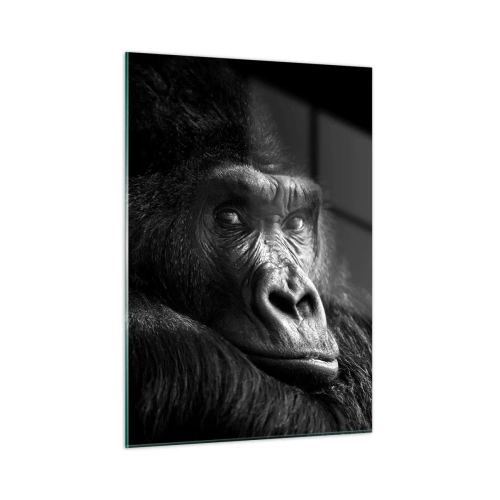 Glasbild - Bild auf glas - Schwarz-Weiß-Porträt eines Gorillas im Schatten eines Fensters - 50x70cm - Und was guckst du so? - Moderne Wanddekoration für Wohnzimmer und Schlafzimmer ARTTOR