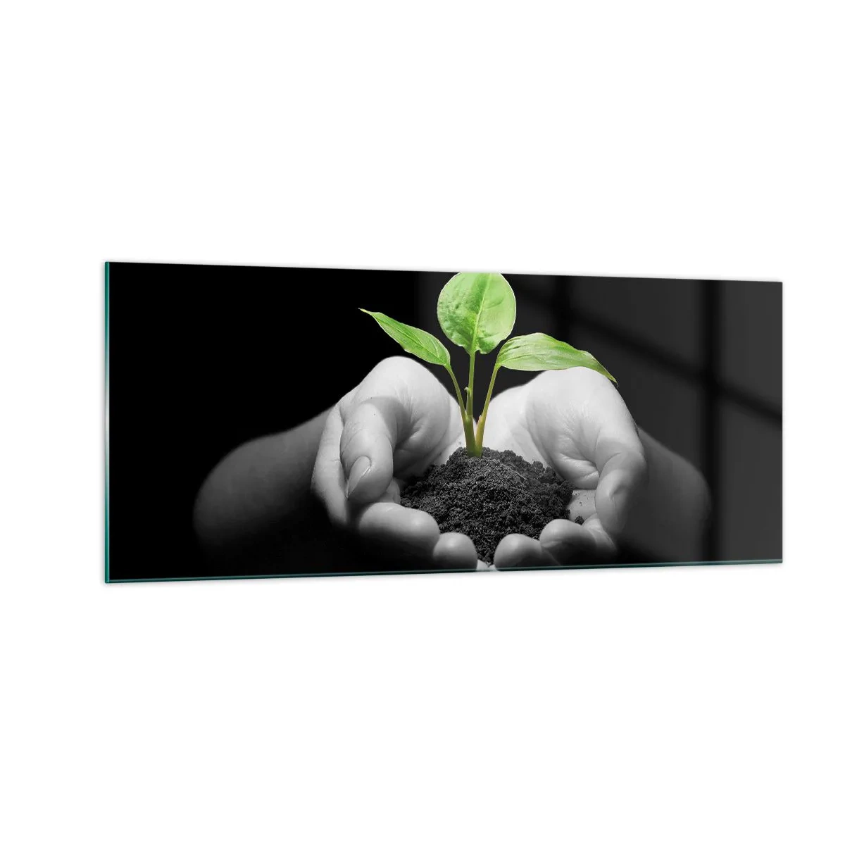 Glasbild - Bild auf glas - Ich liebe die Natur, ich beschütze sie - 100x40 cm