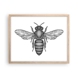 Poster in einem Rahmen aus heller Eiche - Insektenporträt - 50x40 cm