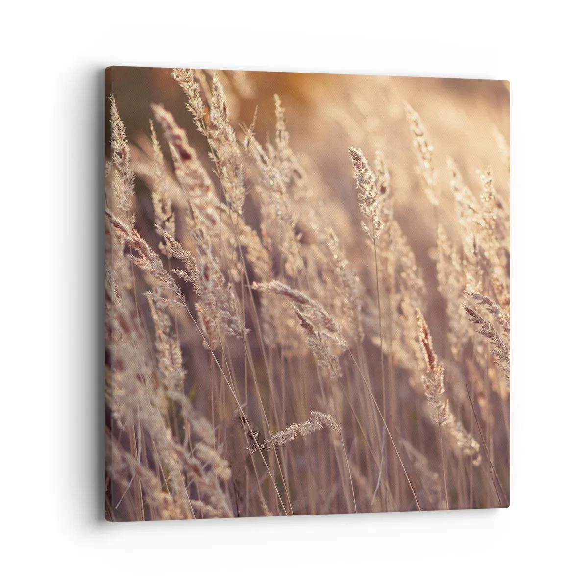 Bild auf Leinwand - Leinwandbild - Bereit, den Herbst willkommen zu heißen - 40x40 cm