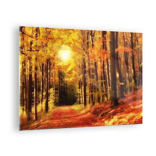 Glasbild - Bild auf glas - Herbstwald in goldenes Sonnenlicht getaucht - 70x50cm - Goldener Herbst auf einer Forststraße - Moderne Wanddekoration für Wohnzimmer und Schlafzimmer ARTTOR