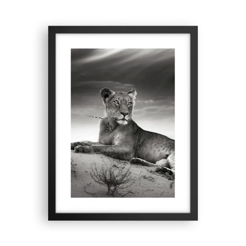 Poster in einem schwarzem Rahmen - Die Königin der Wüstenruhe - 30x40 cm