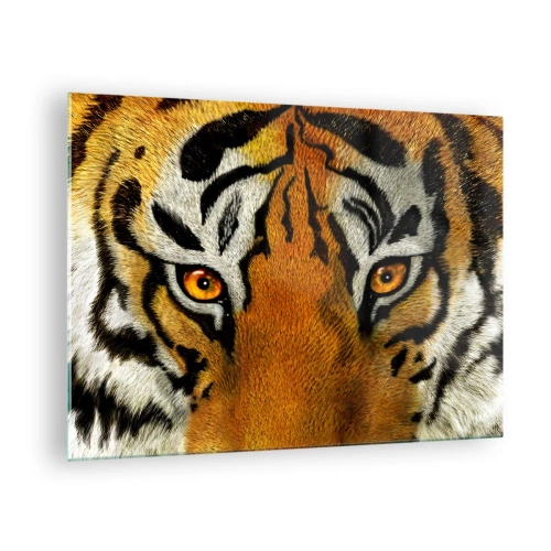 Glasbild - Bild auf glas - Nahaufnahme des intensiven Blicks des Tigers - 70x50cm - Schrecklich und schön - Moderne Wanddekoration für Wohnzimmer und Schlafzimmer ARTTOR