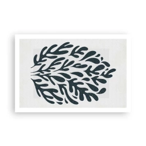 Poster - Formen der Natur - 91x61 cm