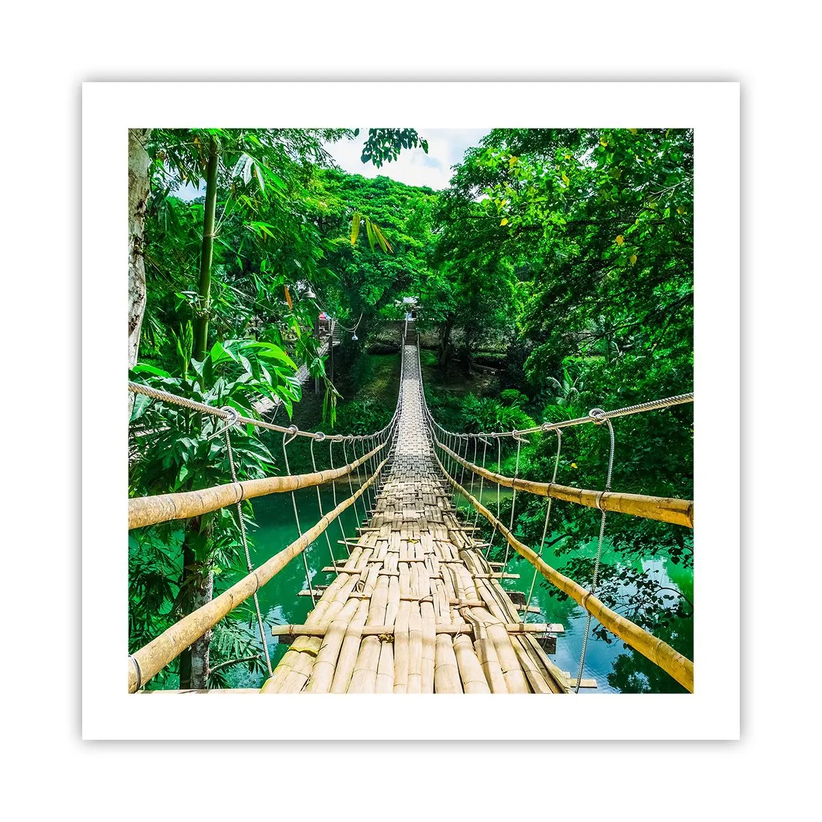 Poster - Monkey Bridge über das Grün - 50x50 cm