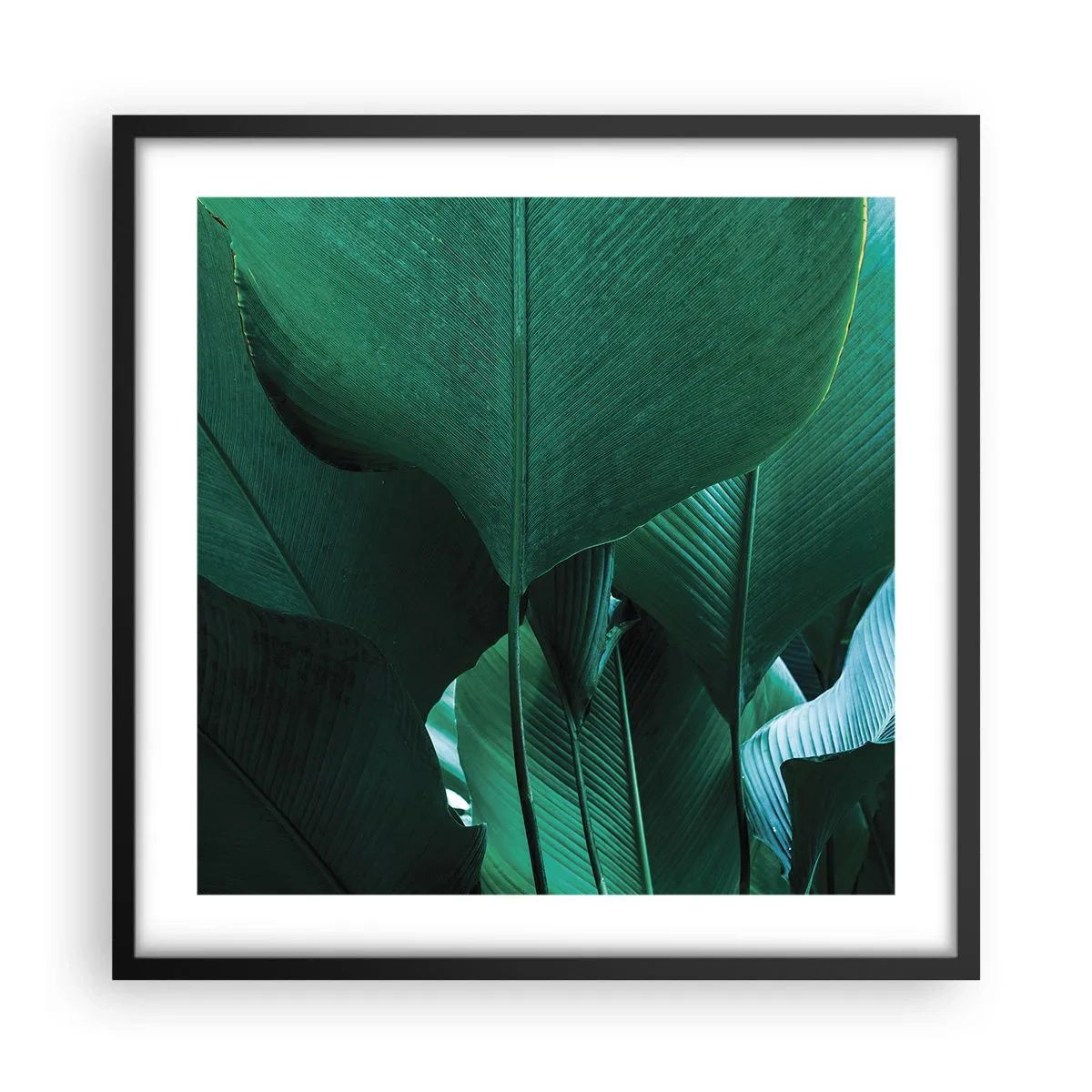 Poster in einem schwarzem Rahmen - Dem Licht zugewandt - 50x50 cm