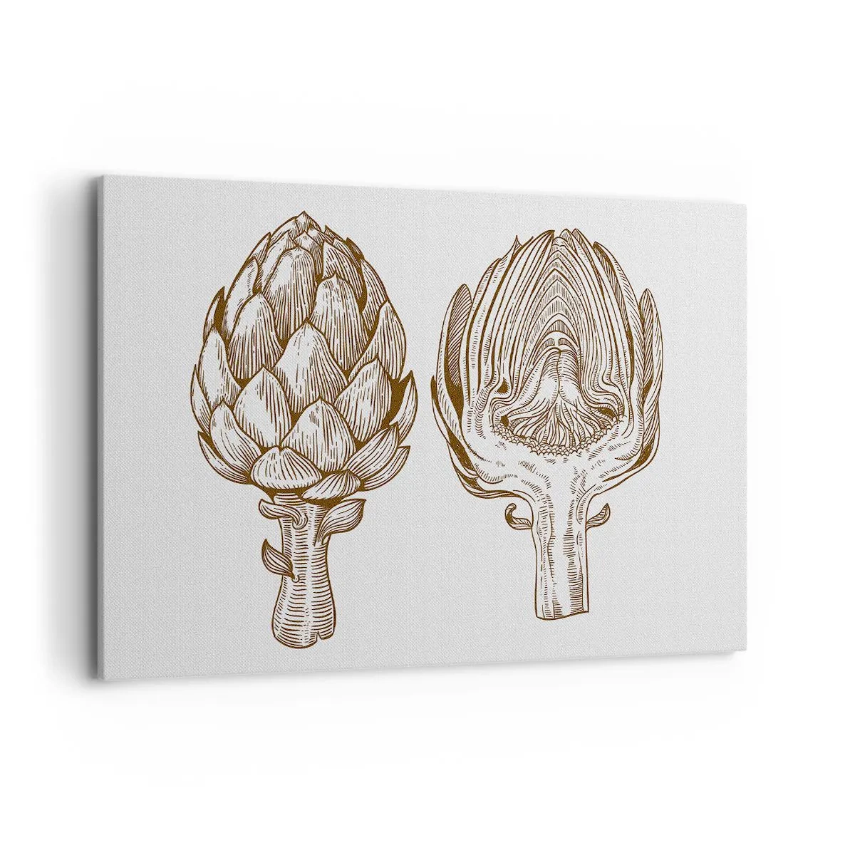 Bild auf Leinwand - Leinwandbild - Vintage Kunstzeichnung einer Artischocke - 120x80cm - Anatomie-Lektion - Moderne Wanddekoration für Wohnzimmer und Schlafzimmer ARTTOR