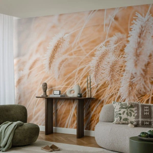 Selbstklebende Fototapete Deluxe Sticker - Das goldene Rauschen des Grases - Pampasgras, Wiese, Natur - 150x105 cm