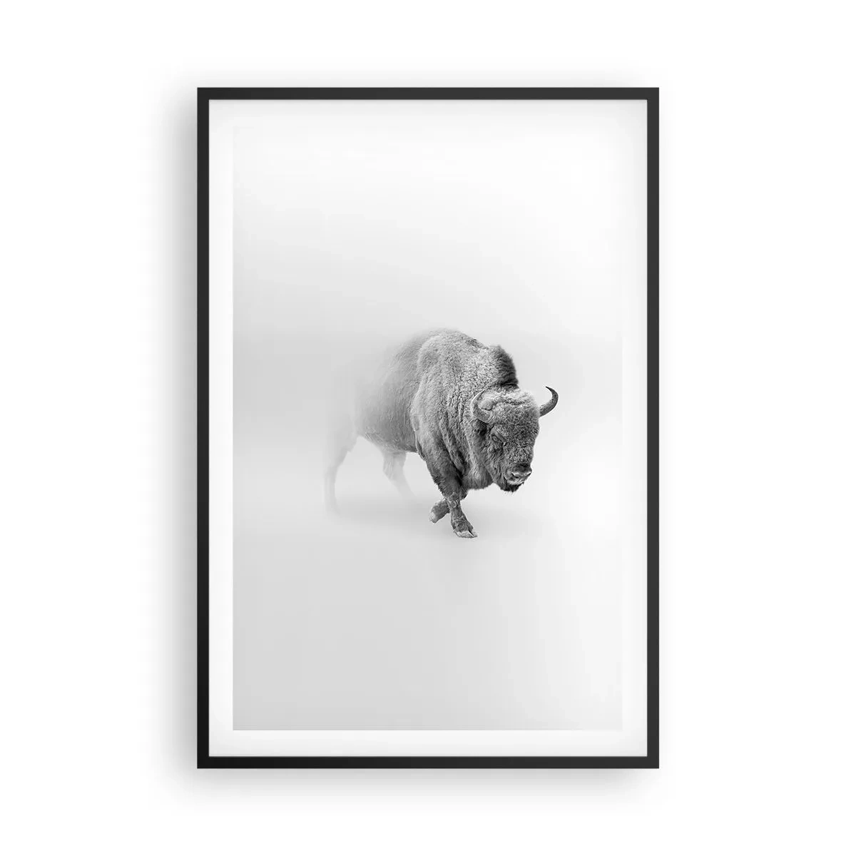 Poster in einem schwarzem Rahmen - König der Prärie - 61x91 cm