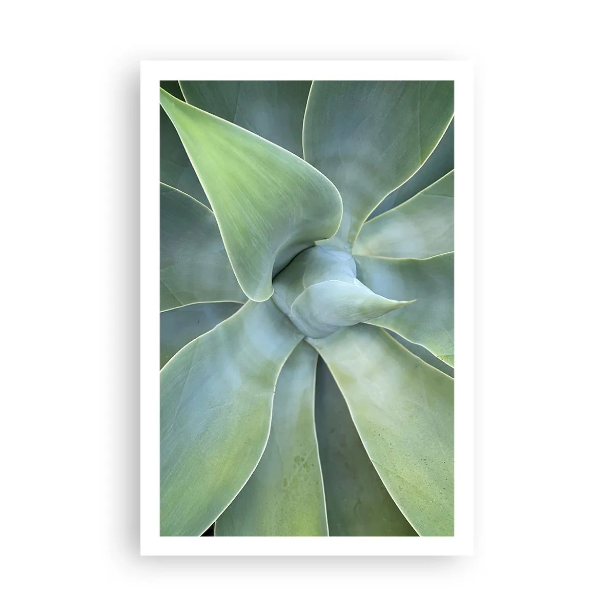 Poster - Geburt des Grüns - 61x91 cm