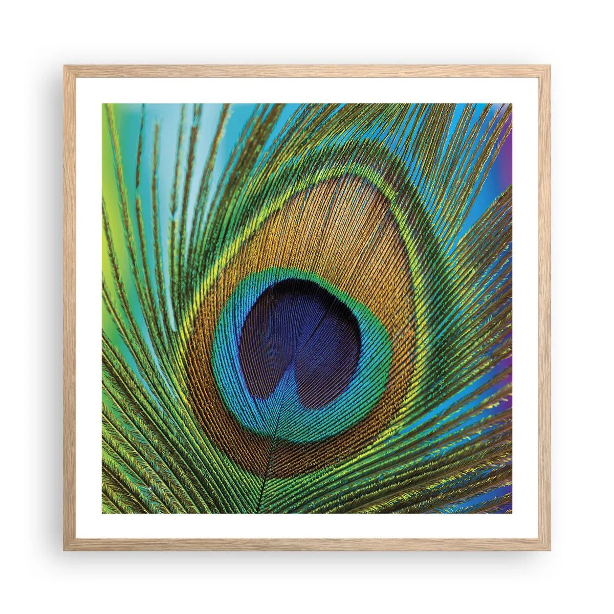 Poster in einem Rahmen aus heller Eiche - Auge in Auge - 60x60 cm