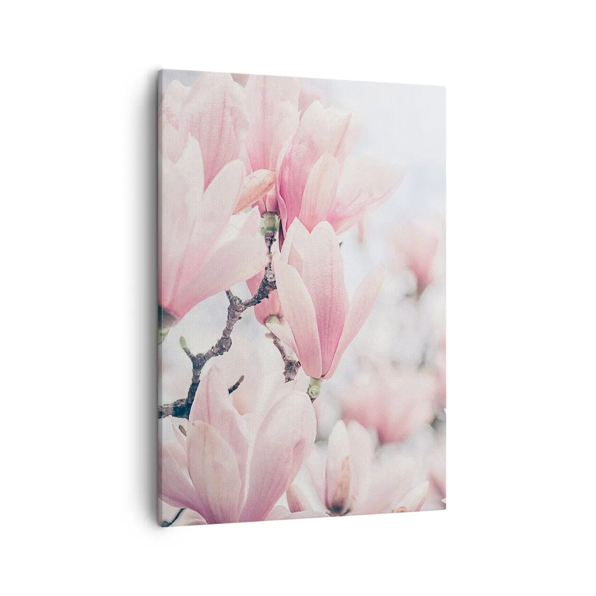 Bild auf Leinwand - Leinwandbild - Dezente Magnolienblüten in zarten Rosatönen - 50x70cm - Das Ideal der Subtilität - Moderne Wanddekoration für Wohnzimmer und Schlafzimmer ARTTOR