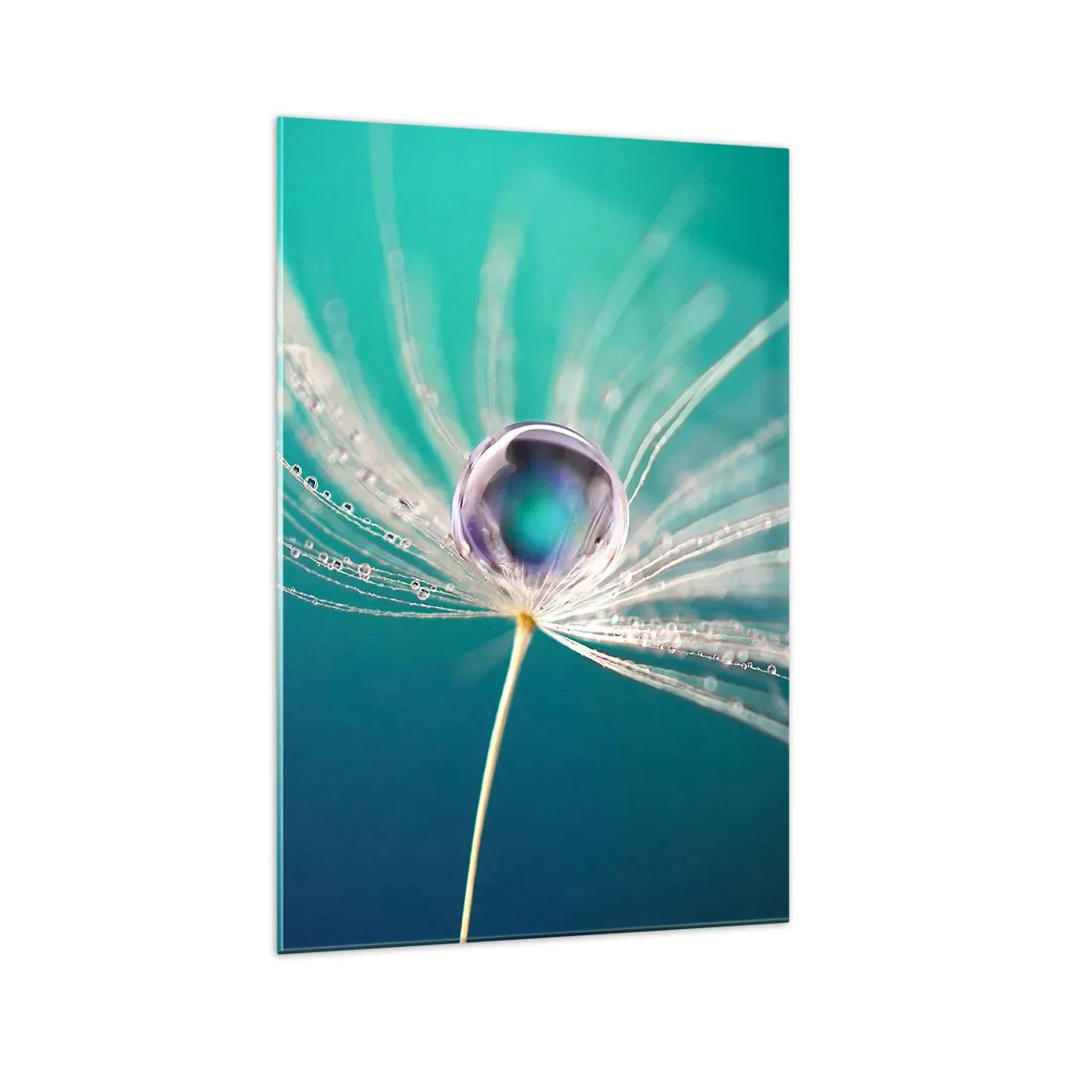 Glasbild - Bild auf glas - Makroaufnahme eines Wassertropfens auf einem zarten Löwenzahnsamen - 70x100cm - Mystischer Moment - Moderne Wanddekoration für Wohnzimmer und Schlafzimmer ARTTOR