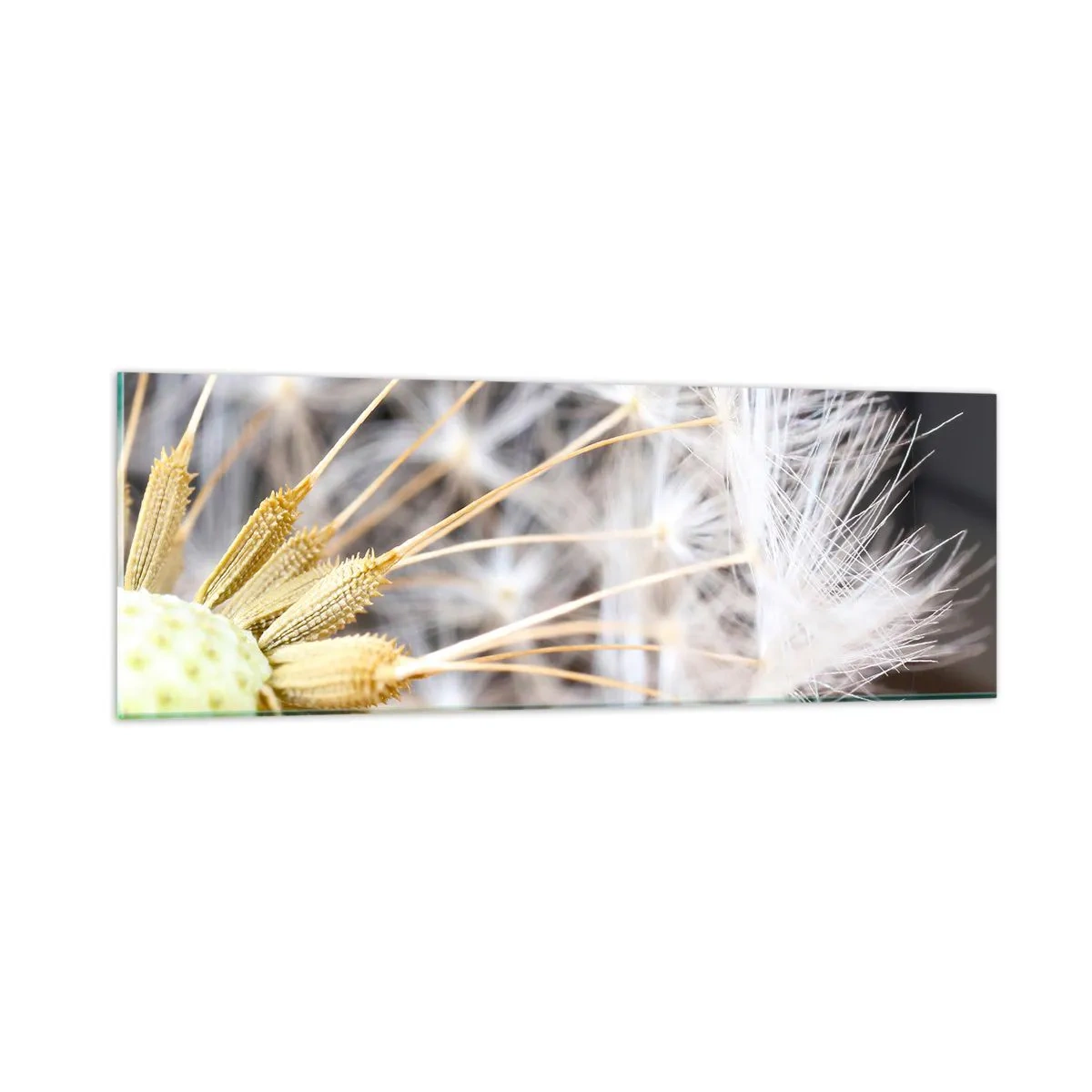 Glasbild - Bild auf glas - Kurz vor dem Abflug - 90x30 cm