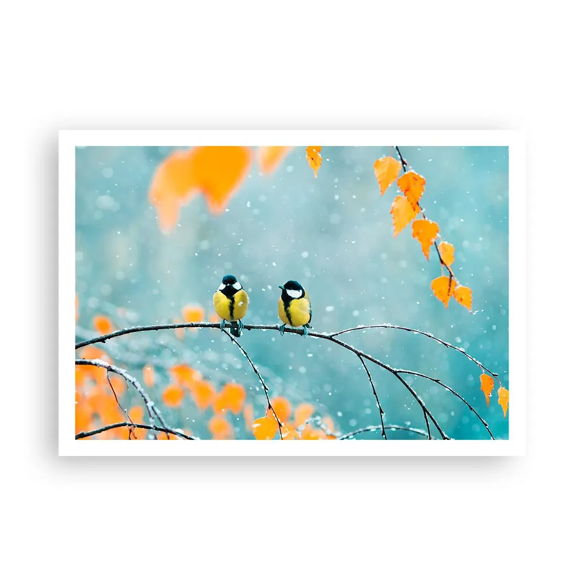 Poster - Zwei Vögel auf einem Ast in einer Winterlandschaft mit gelben Blättern. - 100x70cm - Vogelklatsch - Moderne Wanddekoration für Wohnzimmer und Schlafzimmer ARTTOR