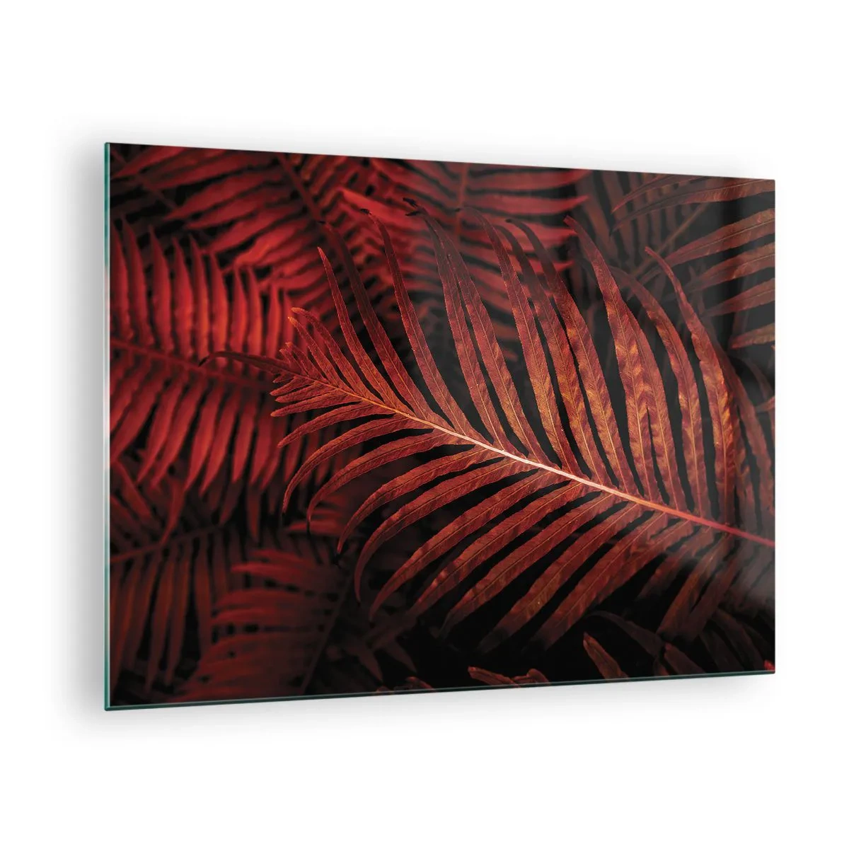 Glasbild - Bild auf glas - Rote Blätter einer tropischen Pflanze auf dunklem Hintergrund - 70x50cm - Die Hitze des Lebens - Moderne Wanddekoration für Wohnzimmer und Schlafzimmer ARTTOR