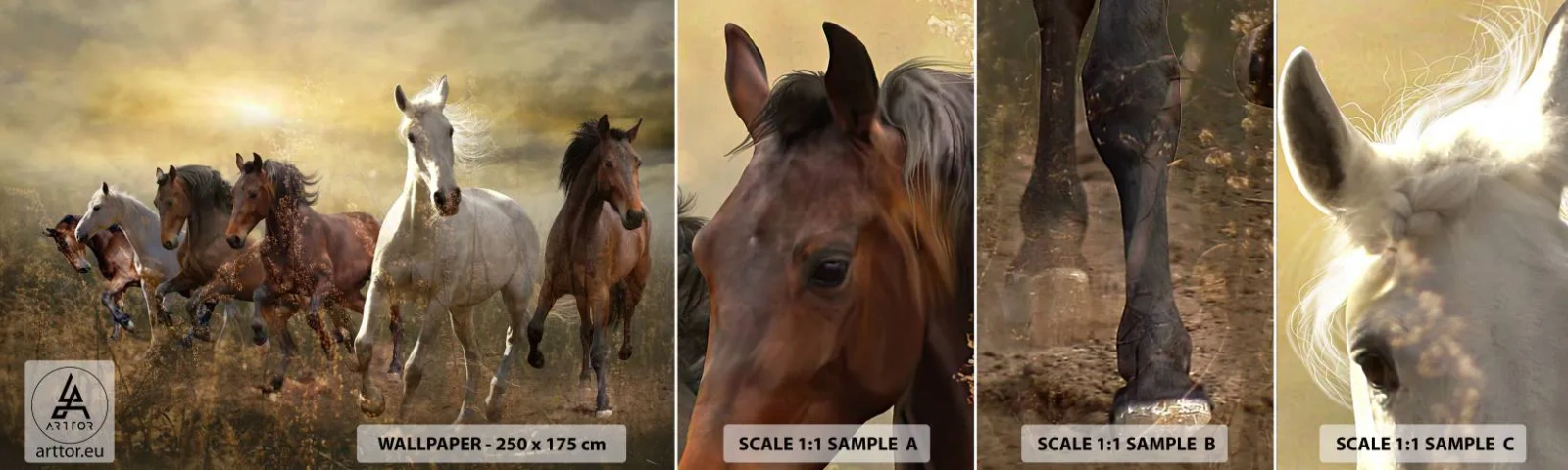 Fototapetenmuster Standard Eco - Lang lebe die Freiheit! - Tiere, Pferd, Galopp - 100x30 cm