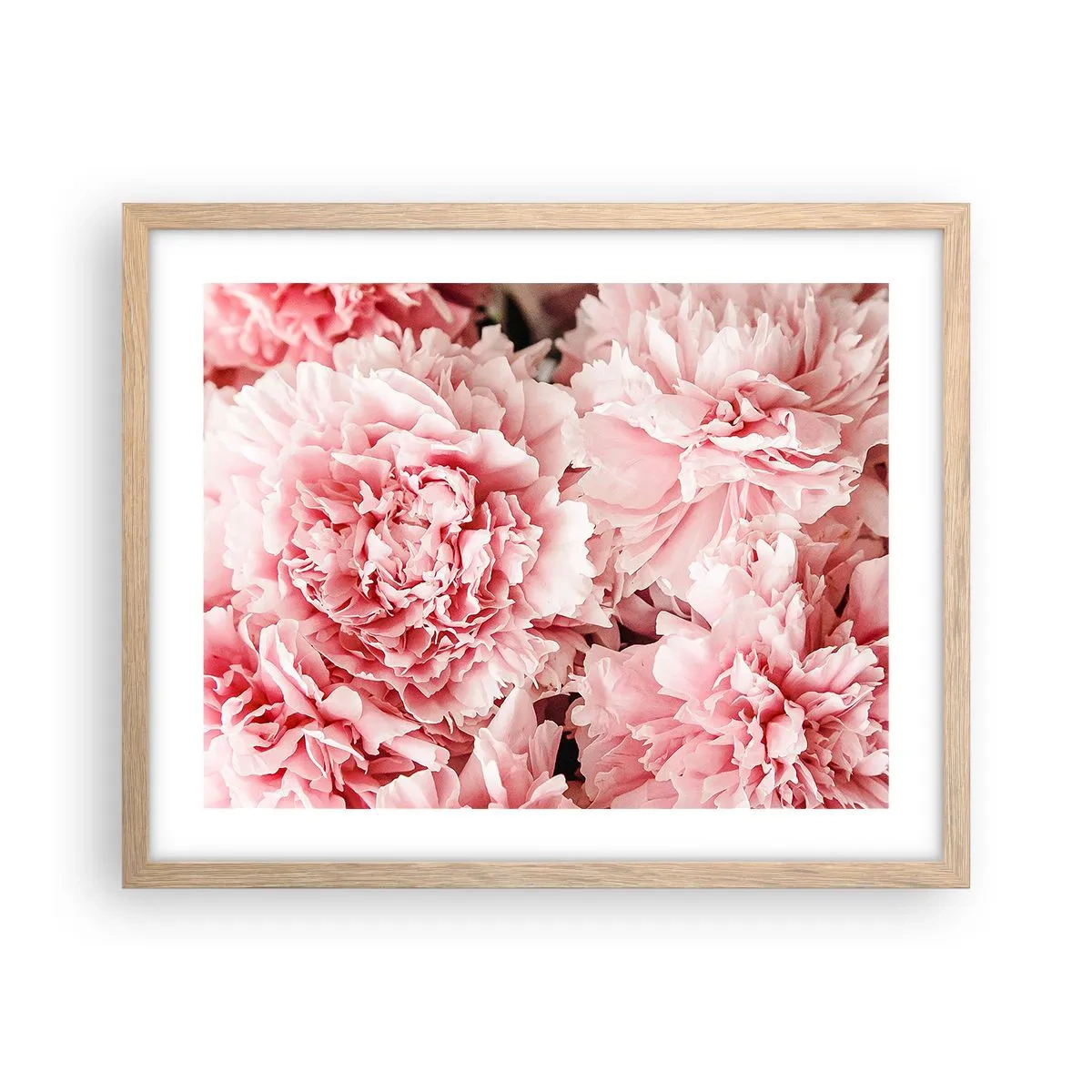 Poster in einem Rahmen aus heller Eiche - Rosa Traum - 50x40 cm