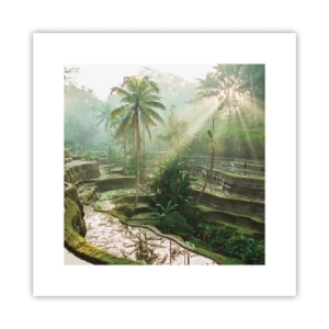 Poster - In der Sonne aufwachsen - 30x30 cm
